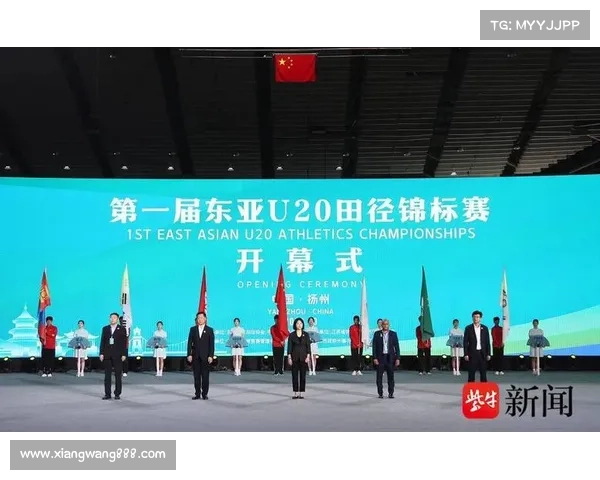 国际田协铜标赛事 国际田协铜标赛事