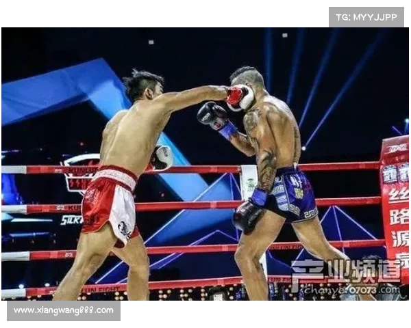 拳击赛事 集锦-热血拳坛全球瞩目巅峰对决激烈搏斗精彩瞬间精华集锦回放